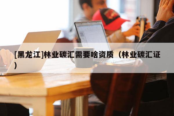 [黑龍江]林業(yè)碳匯需要啥資質(zhì)（林業(yè)碳匯證）