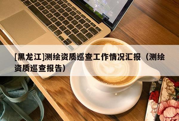 [黑龍江]測(cè)繪資質(zhì)巡查工作情況匯報(bào)（測(cè)繪資質(zhì)巡查報(bào)告）