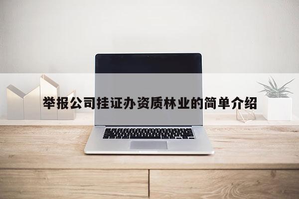 舉報(bào)公司掛證辦資質(zhì)林業(yè)的簡(jiǎn)單介紹