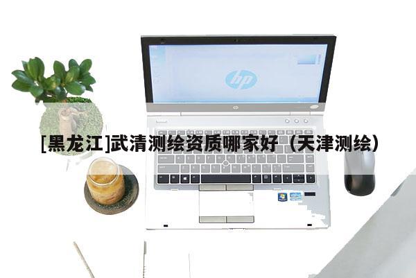 [黑龍江]武清測繪資質(zhì)哪家好（天津測繪）