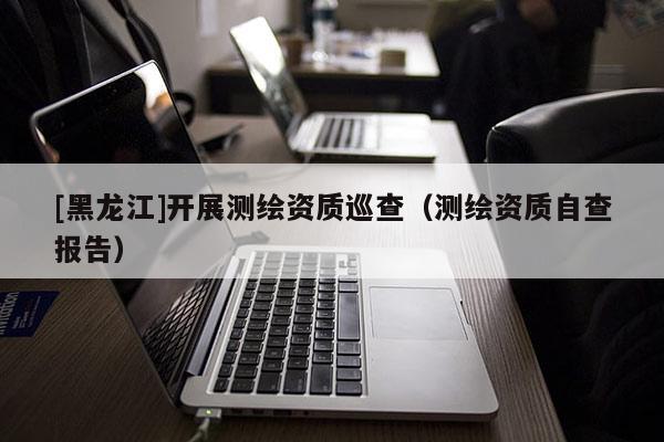 [黑龍江]開展測繪資質巡查（測繪資質自查報告）