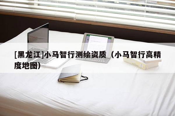 [黑龍江]小馬智行測繪資質(zhì)（小馬智行高精度地圖）