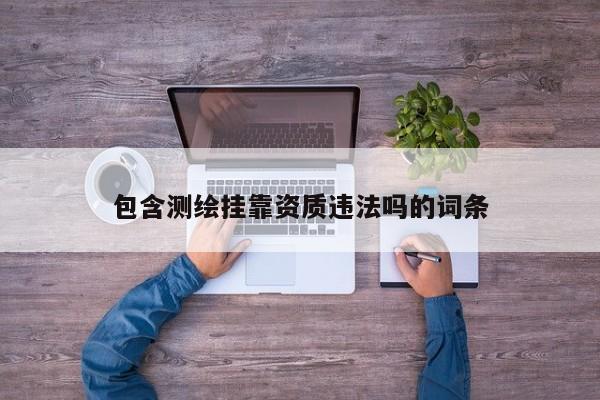 包含測繪掛靠資質(zhì)違法嗎的詞條